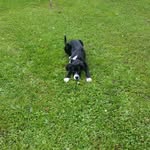 leon kratz - @leonkratz73 - Instagram