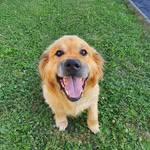 Leon Krause - @leonkrause2012 - Instagram