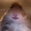 Leon-Etienne Krieger - @leonkrieger07 - TikTok