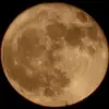 Leon Krieger - @leon_krieger_11 - TikTok