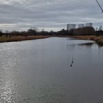 Leon Kruse - @streetfishing_sh - Instagram