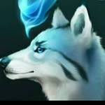 Leon Kruse - @leon.kruse.798 - Instagram