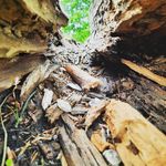 Leon Kuhn - @kuhn_leon_345 - Instagram