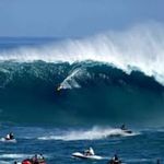 Leon Kurtz - @leonkurtzsurf - Instagram
