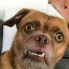 kyleleon.1_8_1991 - @kyleleon.1_8_1991 - TikTok