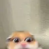 Leon Kyle - @kyle_leon1 - TikTok