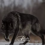 Leon Lala - @leon.lala.31521 - Instagram