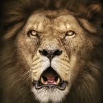 León Landázuri - @leon.landazuri - Instagram