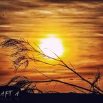 Leon Des Landes - @leondeslandes_40 - Instagram