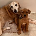 The L Bros - @leon.larkin.theredlab.bros - Instagram