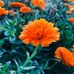 Leon Lagowski - Facebook