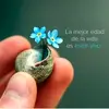 Leonleal - @leonleal29leon - TikTok