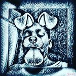 leonleflore - @leonleflore - Instagram