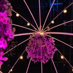 Leon produkcija - @leonprodukcija_leonlights - Instagram