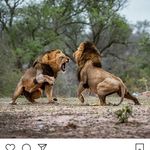 Ddd - @leon.lindsay.35 - Instagram