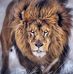 Leon Loo - Facebook
