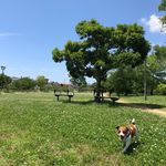 Yuka - @leon_lotta - Instagram