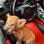 @leon_lyons_ - Instagram