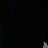leonlyons98 - @leonlyons98 - TikTok