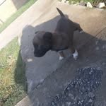 @leon_malinoa - Instagram