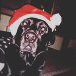leon.malinowski - @leon.malinowski8008 - Instagram