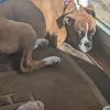 Leona Marshall - @leona.marshall - TikTok