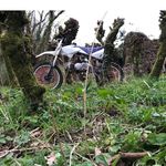 Mathieu Leon - @mathieu.leon.125 - Instagram