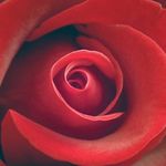 Leon Mcnair - @bigboi_ofthesouth - Instagram