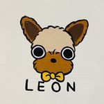 Leon Barbora McQueen - @rikokoleon - Instagram