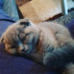 Leon metz - @metz6183 - Instagram