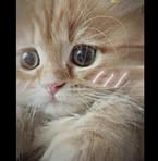Mickey Linn - Facebook