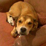 Leon Mix - @meestameeks - Instagram