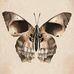 Leon Mullins - Facebook