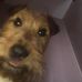 Leon Myles - Facebook