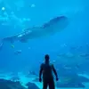 Leon Nelson - @leon.nelson0 - TikTok