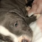 Leon Nelson - @leon.nelson.5249349 - Instagram