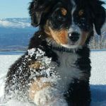 Leon.Neubauer - @leon.neubauer5290 - Instagram