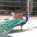 Jose Arturo Nevarez León - @nevarezleonjose_arturo_nevarez - Instagram