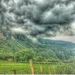 nevarez leon - @nevarez_leon - Instagram