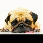 Leon_nice - @leon_nice579 - Instagram