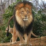 Leon Odendaal - @leon.odendaal.7393 - Instagram