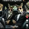 leon ortiz - @leon.ortiz09 - TikTok