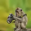 leon ortiz - @leon.ortiz - TikTok
