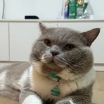 Leon&Otto - @leonandotto - Instagram