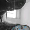 leonaparent - @leonaparent - TikTok
