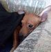 Leon Pate - Facebook