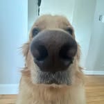 Leon Pfeiffer - @leonb_ue12 - Instagram
