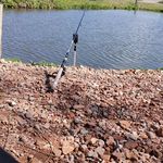Leon Pfeiffer - @leon123fisch - Instagram