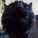 Ced Phantomz - @leon_phantom - Instagram
