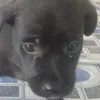 Leon - @leon_opointer - TikTok